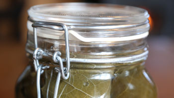 Мариновани лозови листа