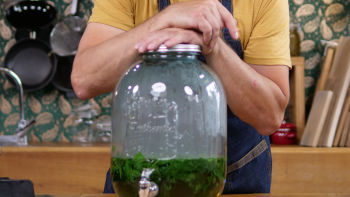 Ментов сироп