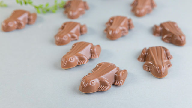 Шоколадови жаби