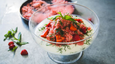 Granita saće s pannacottom i lubenicom