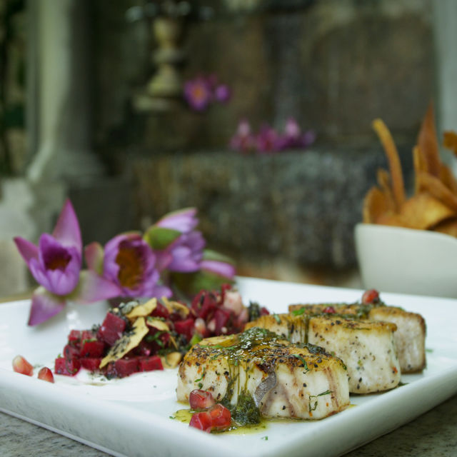 Pečena skuša s kozjom sirutkom i mediteranskom salatom