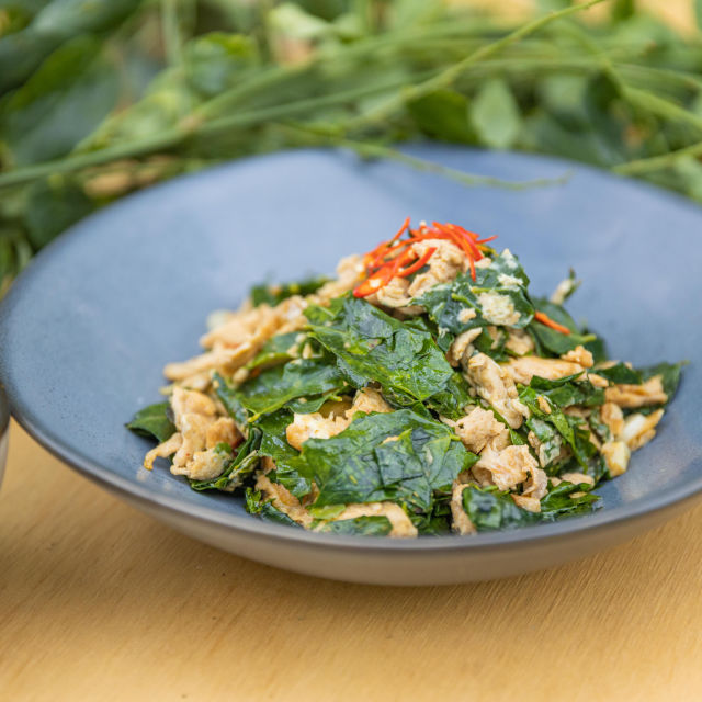 Kajgana s manicaijem