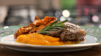 Pato com Tons Laranja