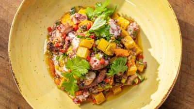 Salada de Polvo com Molho de Pimentos