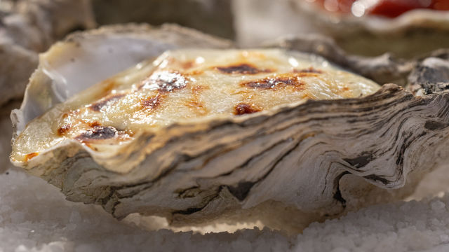 Ostras Gratinadas