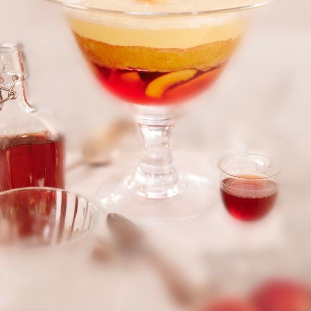 Trajfl od želea od nektarina i likera od trnjina