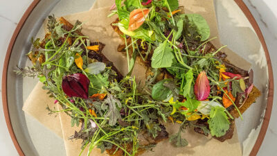 Tiborna de Cogumelos de Coentrada