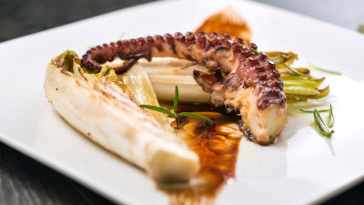 Грилован октопод с цикория