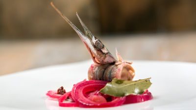 Зарган в марината