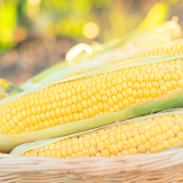 Сезонен зеленчук: Царевица