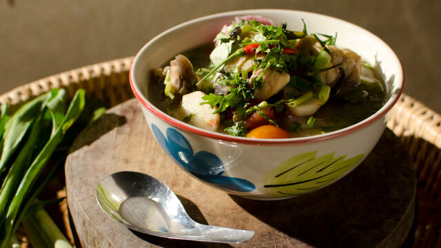 Сом "Том ям"