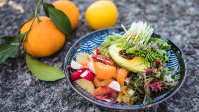 Salata od japanskog citrusnog voća i avokada