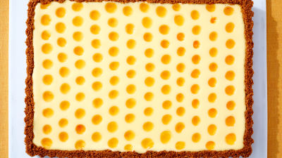 Tart od sira s marelicama