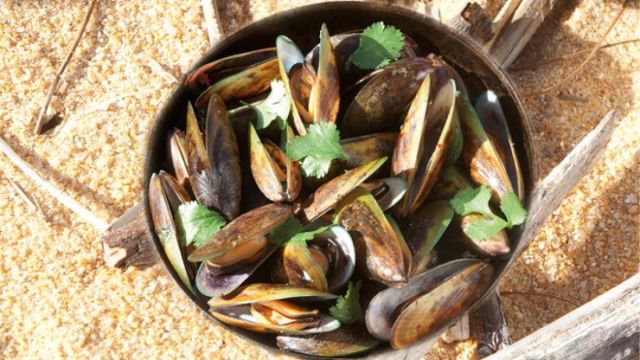 Aromatične pirjane školjke