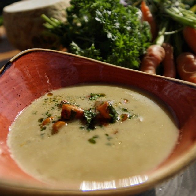 Juha od izdanaka češnjaka