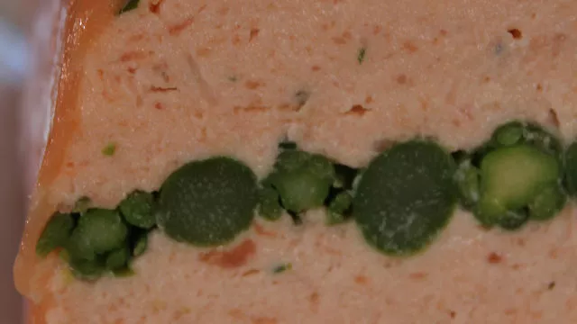 Terina s lososom i šparogama