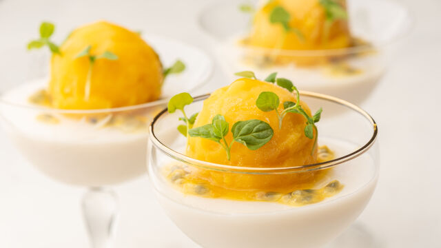 Panna Cotta od kokosa sa šerbetom od marakuje