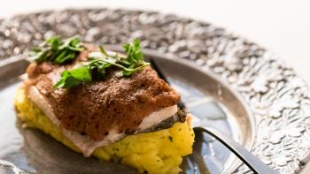 Trutas à Transmontana | Vila Real