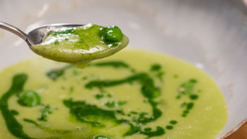 Creme de Favas | Castelo Branco