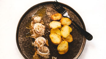 Lulas à Algarvia | Faro