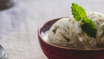 Gelado de Erva Cidreira