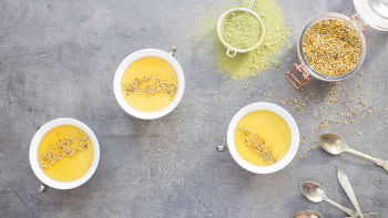 Panacotta de Matcha e Mel