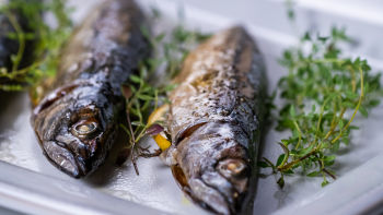 Cavalas no forno com Cuscuz aromatizado