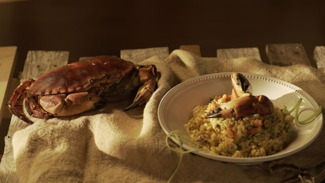 Risotto de Sapateira