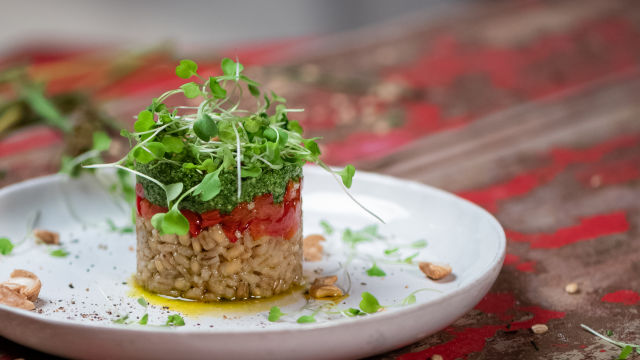 Salada de Cevada, Pimentos Assados e Pesto de Rúcula