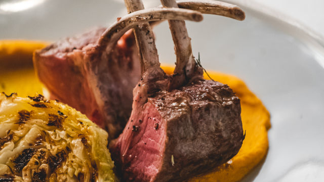 Carré de Borrego | Bragança