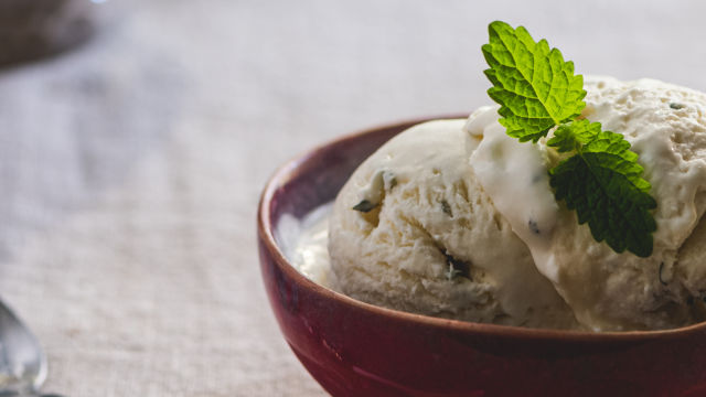 Gelado de Erva Cidreira