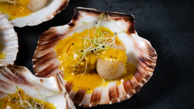 Vieiras com Molho de Açafrão e Laranja