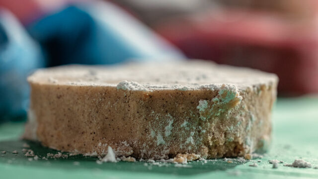 Polvorones