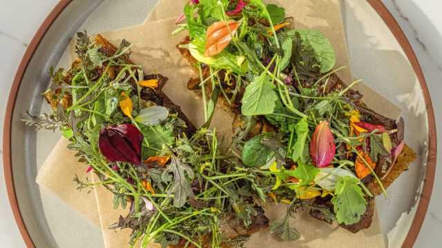 Tiborna de Cogumelos de Coentrada