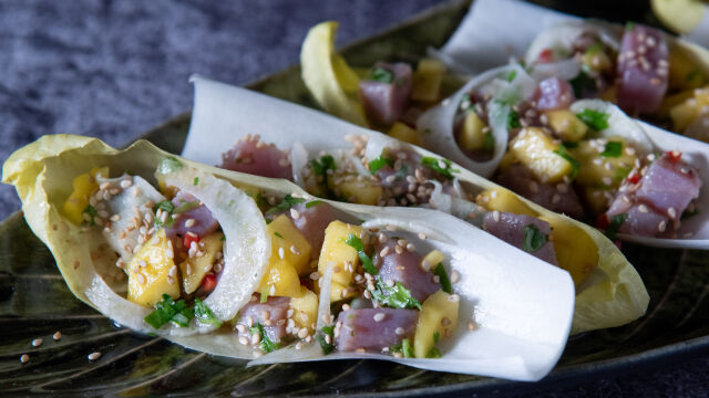 Ceviche de Atum em Cama de Endívias