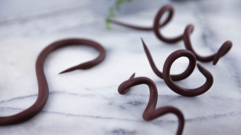 Lagani čokoladni „plastelinˮ