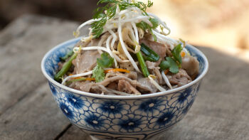 Vok sa ljubičastim nudlama bambusom i svinjetinom