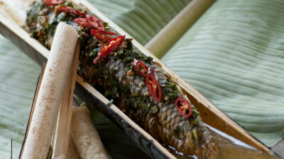 Šaran kuvan u bambusu