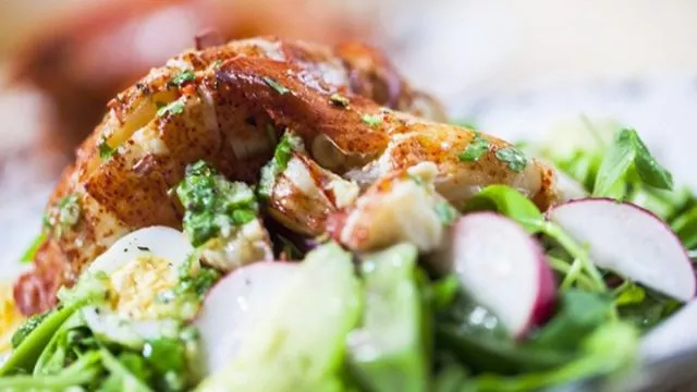 Salata od jastoga