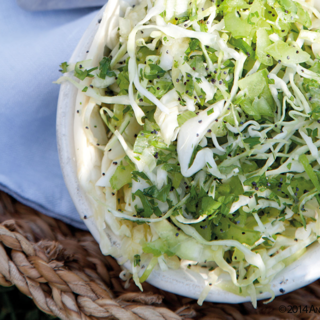 Kupus salata sa renom Anabel Langbejn