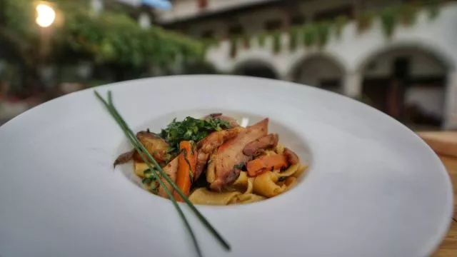 Pile na svežim rezancima