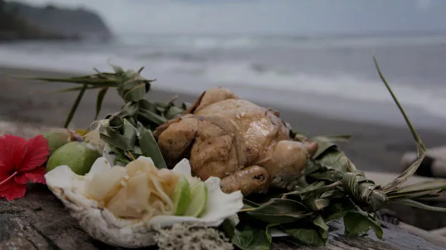 Piletina tana