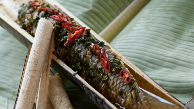 Šaran kuvan u bambusu