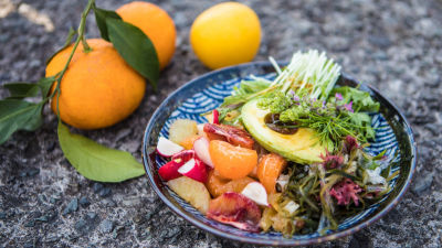 Japonska solata z agrumi in avokadom