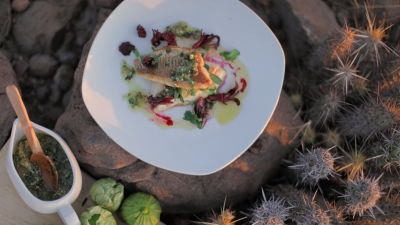 pečen hlastač s salso verde