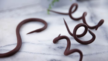 Enostavna čokoladna pasta za oblikovanje