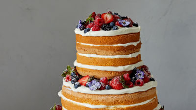 Torta z jagodičevjem