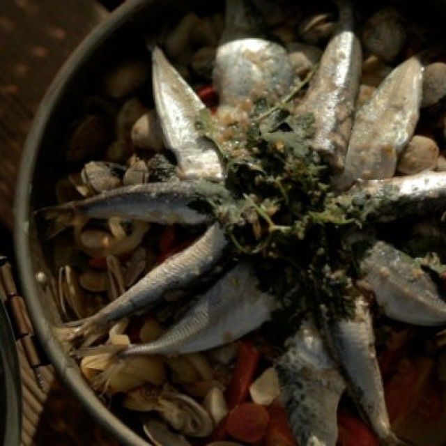 Cataplana na svetilniški način