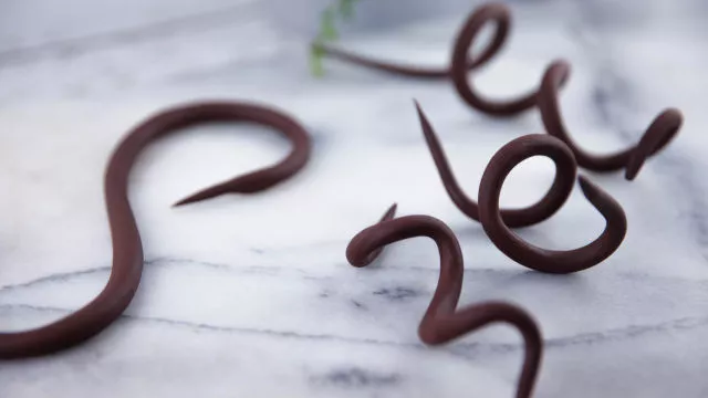 Enostavna čokoladna pasta za oblikovanje