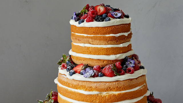 Torta z jagodičevjem